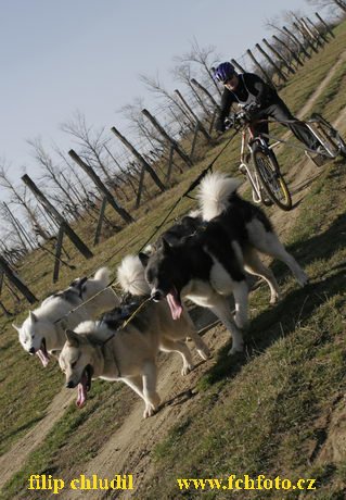 Hustopece 08 - 181.JPG